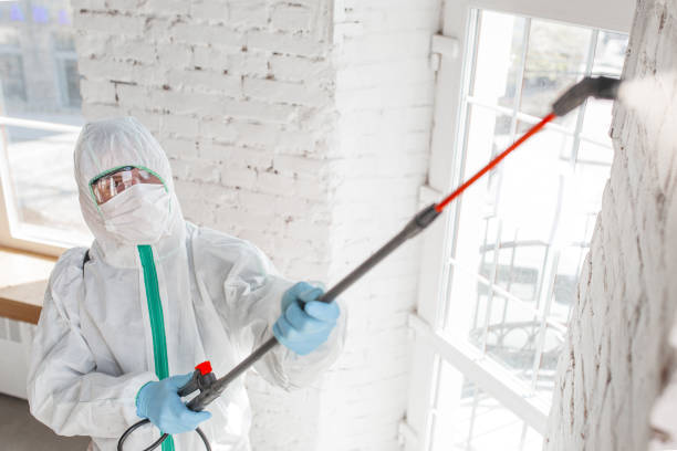 Best Air Quality Testing for Mold Spores  in Adamsville, AL