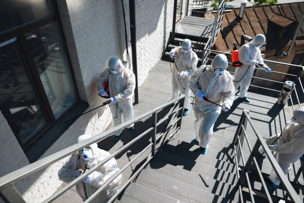 Best Mold Prevention Services  in Adamsville, AL