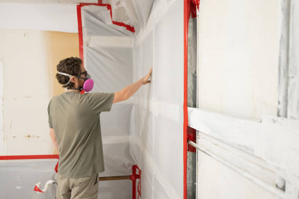 Best Mold-Related Health Consultation  in Adamsville, AL