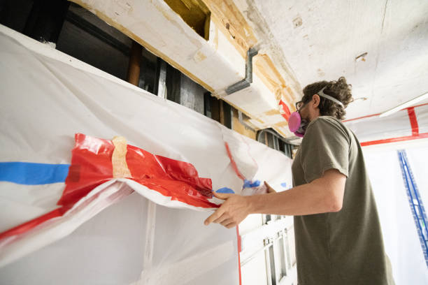 Mold Documentation for Insurance Claims in Adamsville, AL